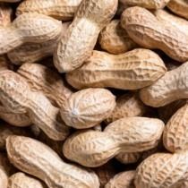 Peanut Roasted, 1 Kg(In Shell)